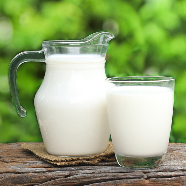 Close up shot of a milk hug and a glass filled with milk