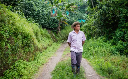 An individual walking in the middle of nature