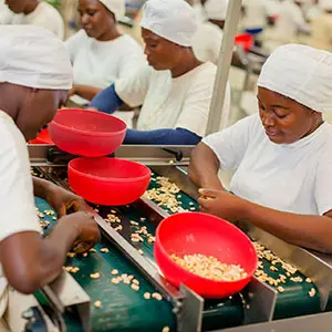 A group of workers on a production line