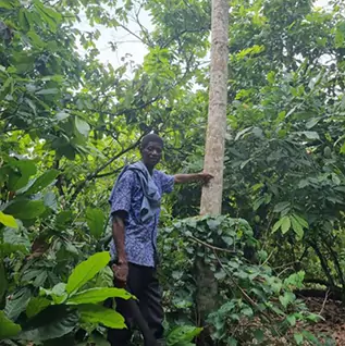 Man in a forest in West-Africa