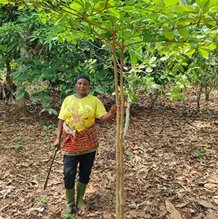 Delphine, a cocoa farmer