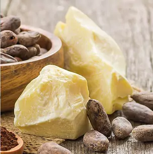 Image of organic cocoa butter and cocoa seeds