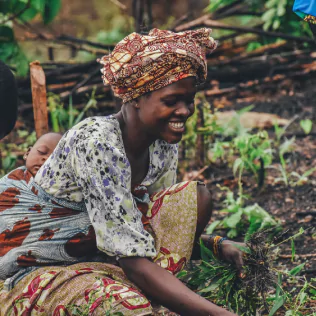 Woman picking plants