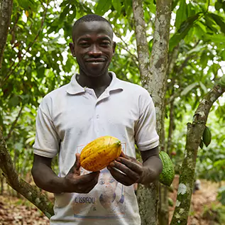 Man holding a cocoa fruit