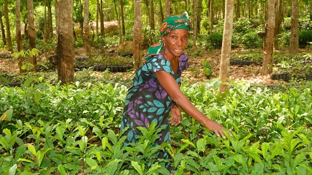 Tai Simonne, Head of Women's Association, Cote d'Ivoire