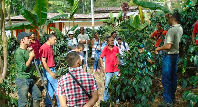 Group of farmers receiving coffee education in Quindo Columbia