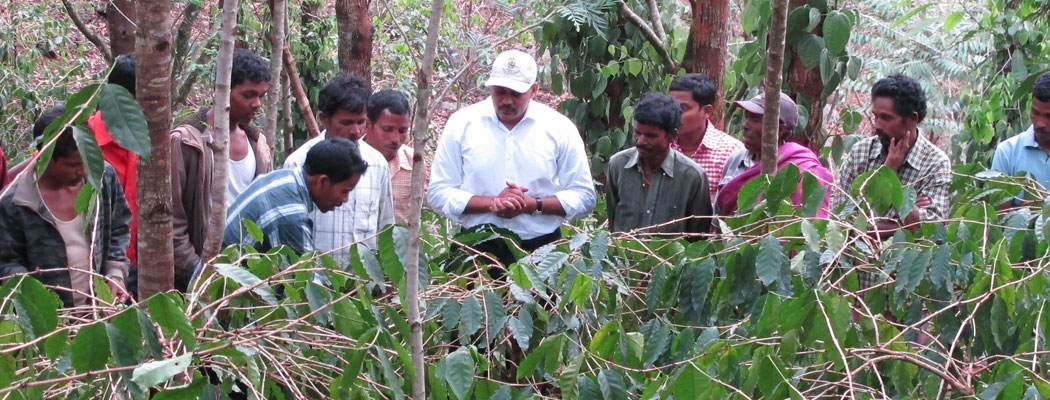 Group of men inspecting something in a forest