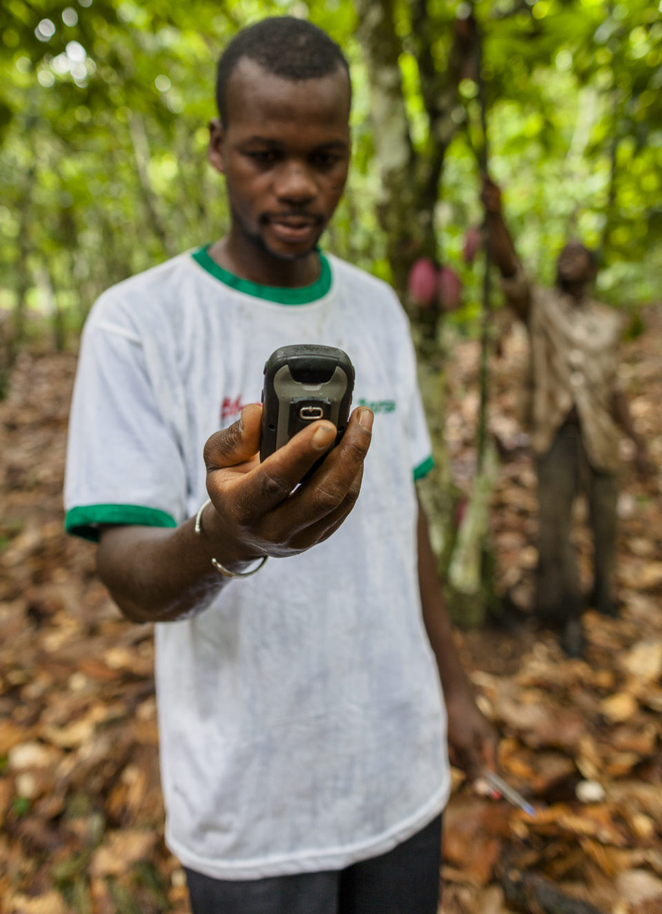 A man standing in a forest looking at an electronic device