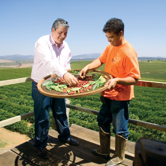 Two men smiling and holding a round sift inspecting red coffee beans
