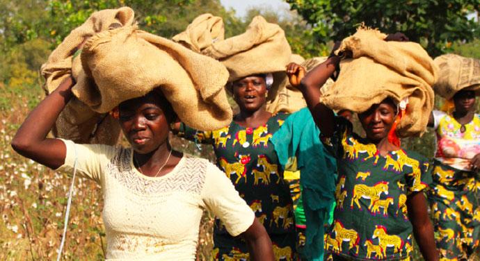 Group of woman Côte d'Ivoire carrying burlap bags on their heads