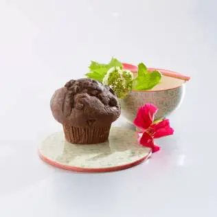 A chocolate cupcake served on a plate