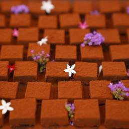Dessert cut into cubes and garnished with colorful flowers