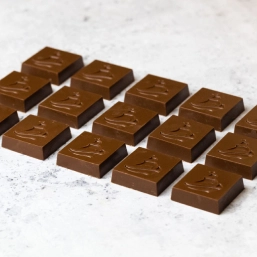 Pieces of chocolate with a boat imprint