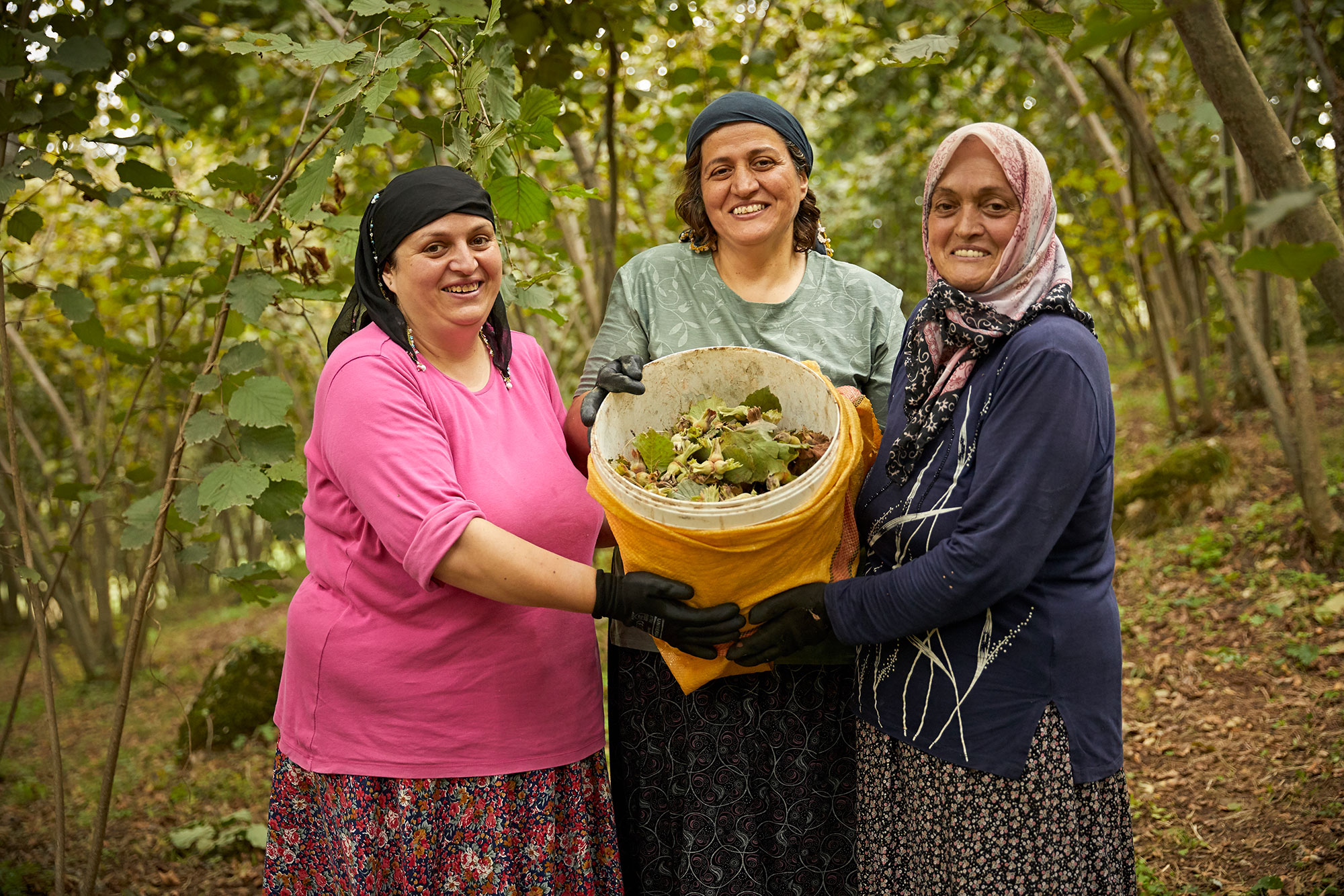 Three woman holding a basket filled with freshly harvested hazelnuts