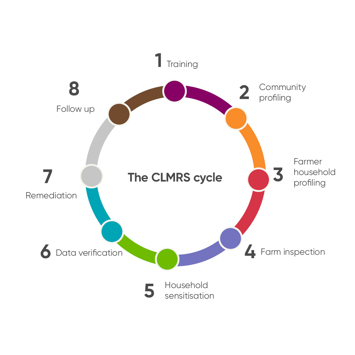Image presenting the CLMRS cycle and eight steps that are a part of the cycle