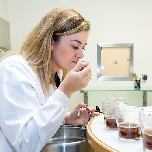 Female lab technician smelling coffee blends