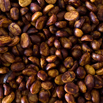 Close up image of Coffee beans