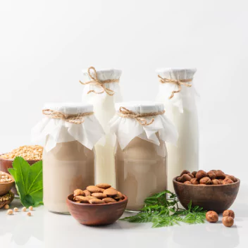 Four types of plant based alternative beverages