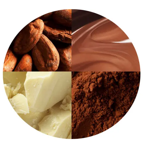 Assorted chocolates in four sections, highlighting the variety offered by food ingredient companies.
