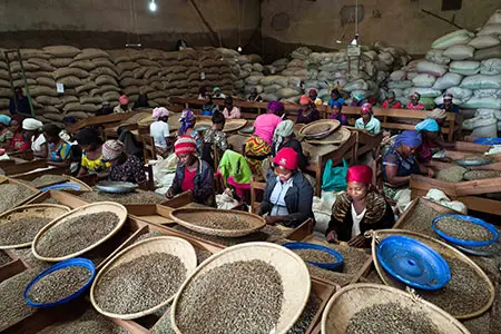 A group of workers going through the produce
