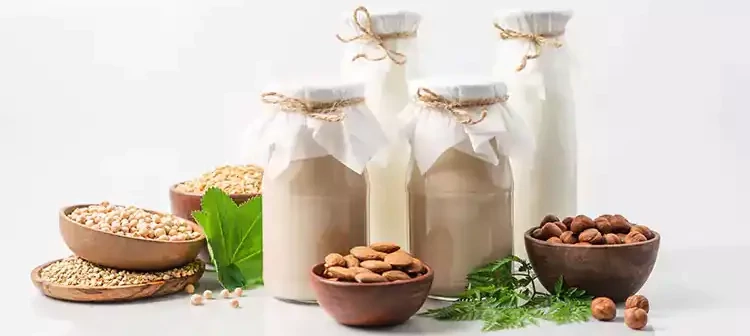 Four bottles of plant milk with bowls of almonds, macadamia, and pecans