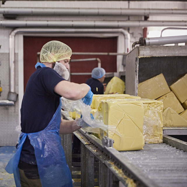 Factory worker unwrapping butter on a conveyer belt