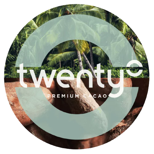 Twenty premium cocoa logo with palm trees and roasted cocoa
