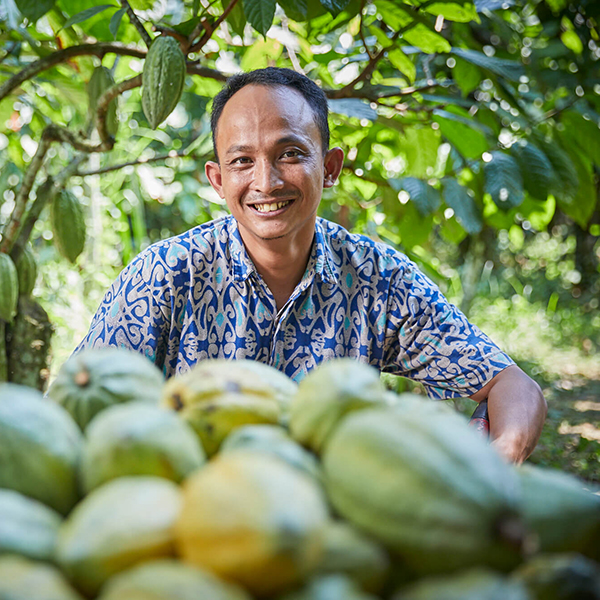 Smiling Indonesian man posing in front of raw cacao pods