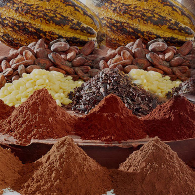 Close up of various types of processed cocoa