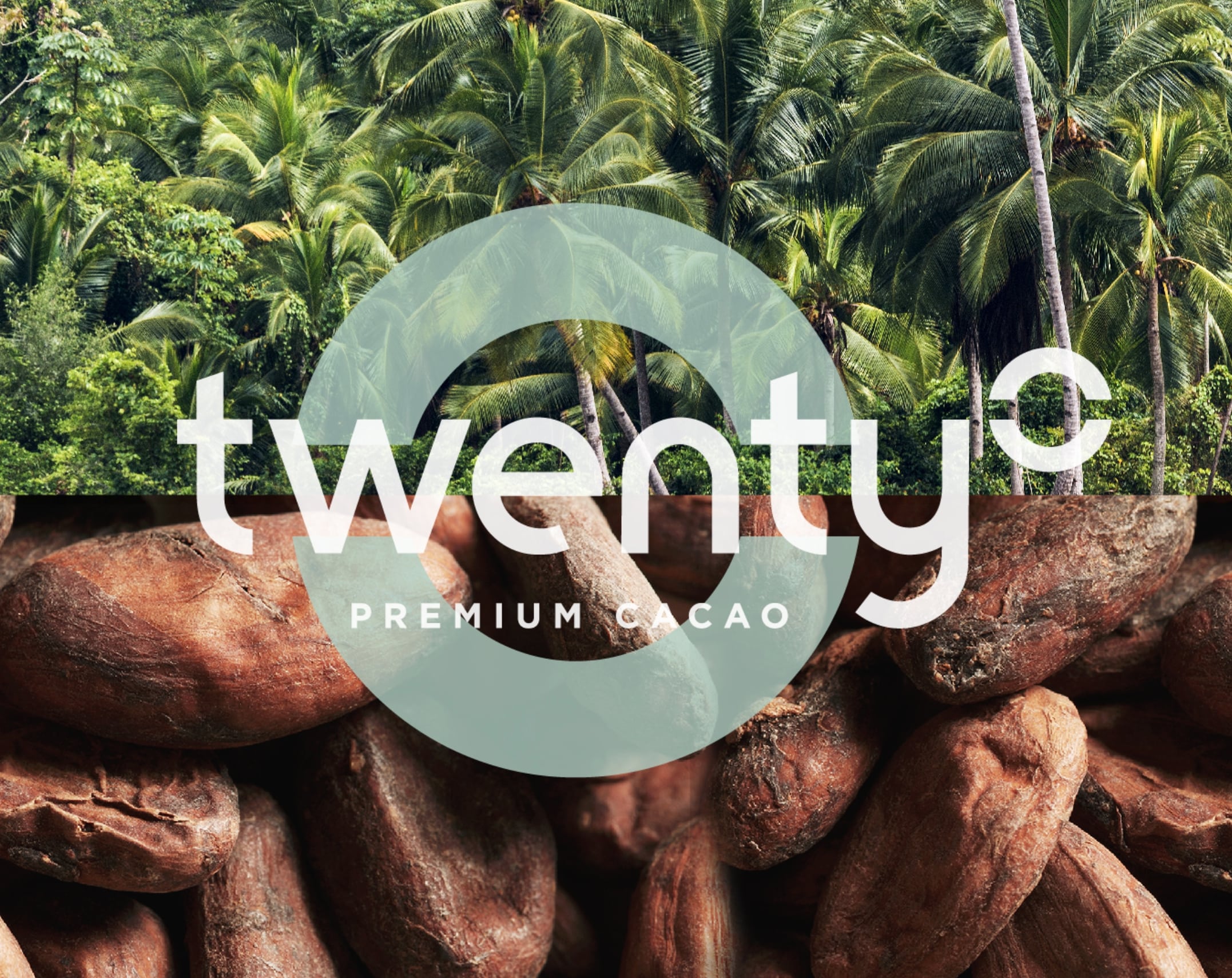 Twenty premium cocoa logo with palm trees and roasted cocoa