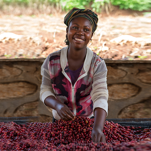 Smiling female farm worker sorting red coffee beans
