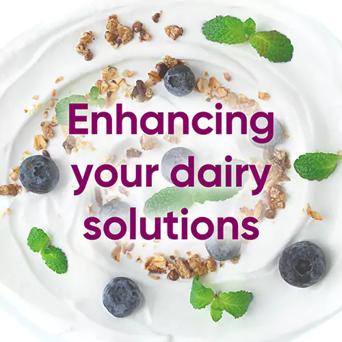 Lactose product brochure