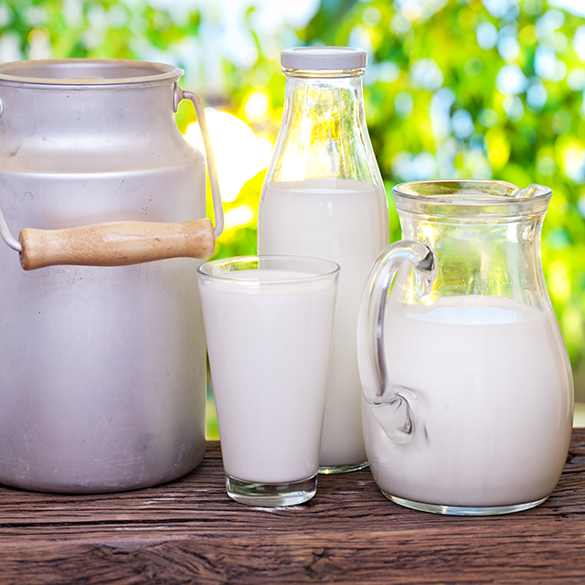 Styled shot of a milk in a glass, jug and bottle with green leafy background