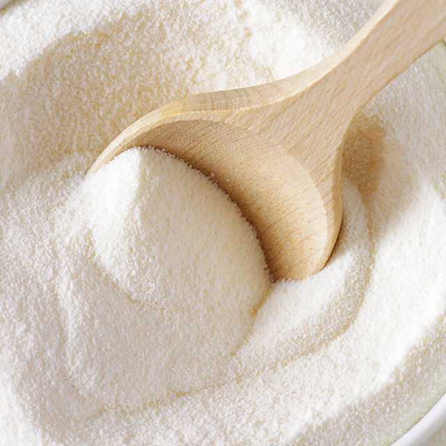 Close up shot of milk powder and a wooden spoon scooping up the powder