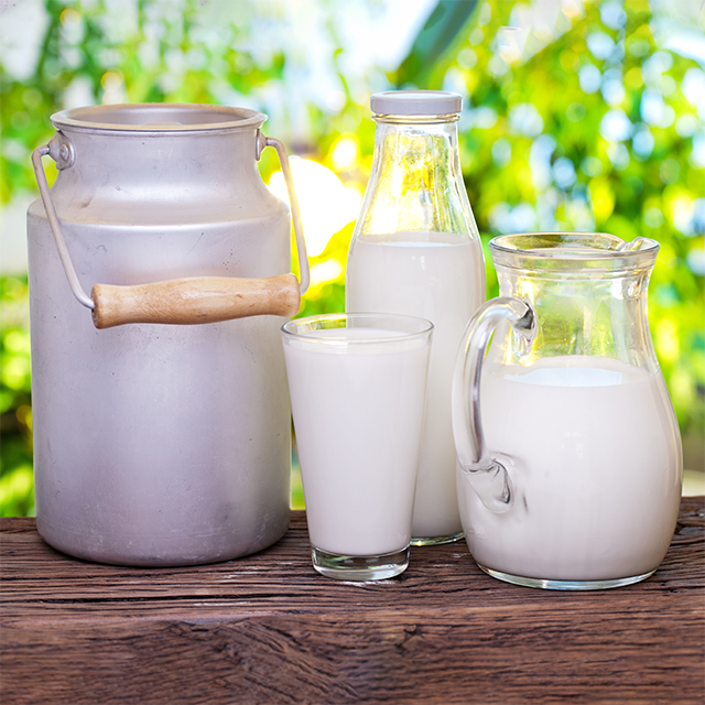 Styled shot of a milk in a glass, jug and bottle with green leafy background