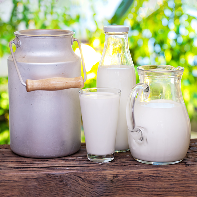 Styled shot of a milk in a glass, jug and bottle with green leafy background