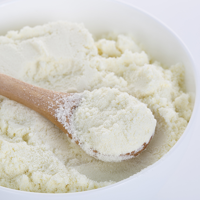 Close up shot of lactose milk powder in a bowl with a scoop of milk powder on a wooden spoon