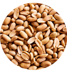 A pile of peanuts