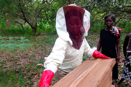 Female cashew farmer wearing a bee suit in west Africa