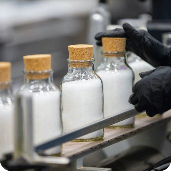 Glass bottles on a conveyer belt