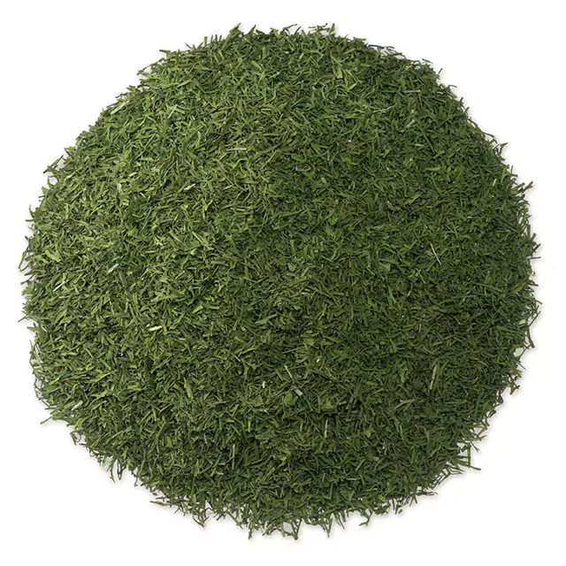 Close up shot of dried dill herb