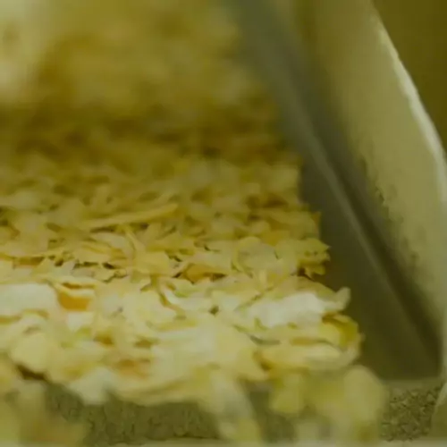 Spices on a conveyer belt