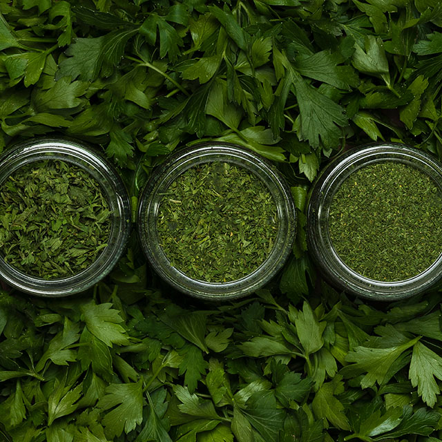 Close up shot of ofi herbs in glass containers with coriander leaves as backdrop