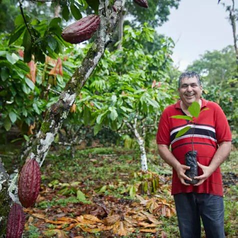 Cocoa farmer
