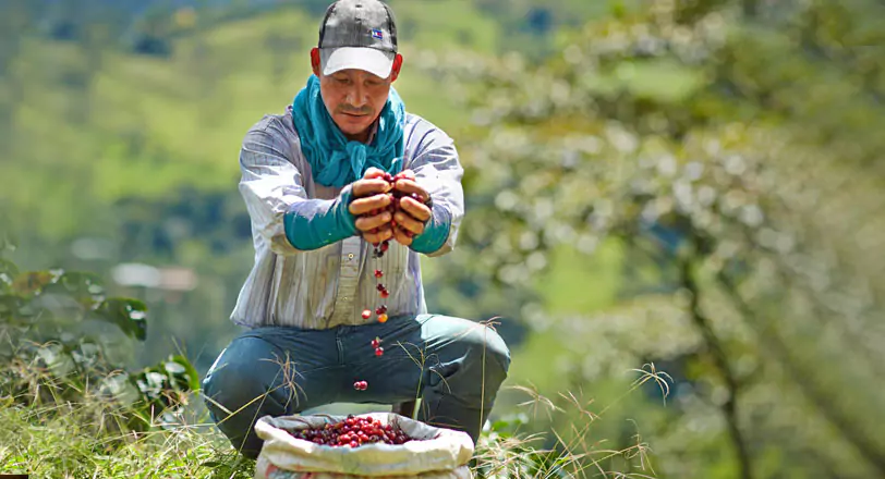 Coffee farmer