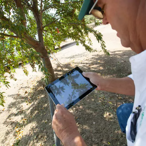 A man on the tablet