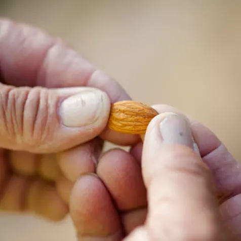 Almond