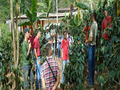Group of farmers gathering on a plantation