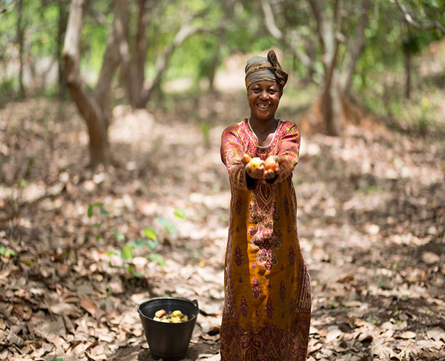 Woman holding a cashew plant in hand